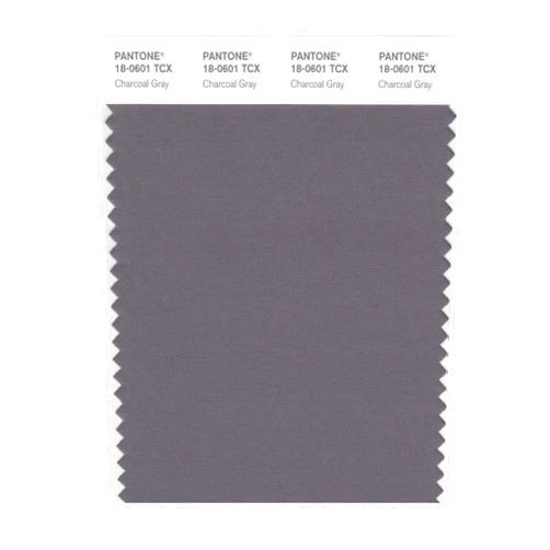 PANTONE Smart 18-0601X Color Swatch Card, Charcoal Gray