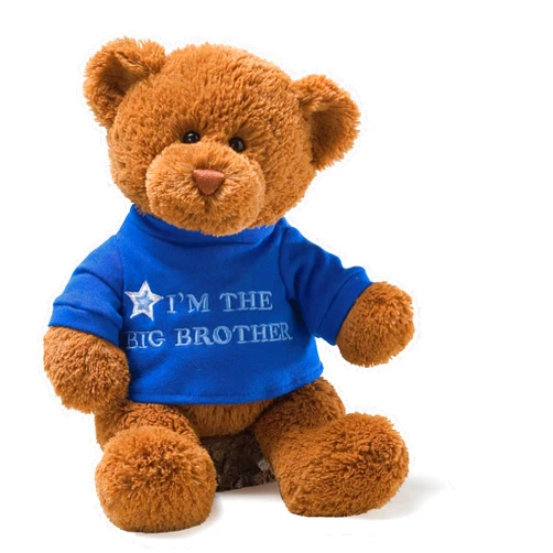 GUND “I’m The Big Brother” Message Bear with Blue T-Shirt, Teddy Bear Stuffed Animal for Ages 1 and Up, Brown, 12”