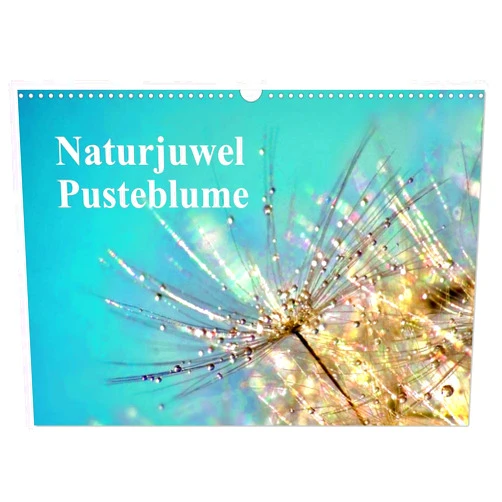CALVENDO Naturjuwel Pusteblume (Wandkalender 2025 DIN A3 quer), CALVENDO Monatskalender [Calendar] Julia Delgado