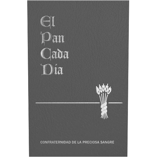 Father Anthony J. Paone S.J. El Pan de Cada Dia (Spanish Edition)
