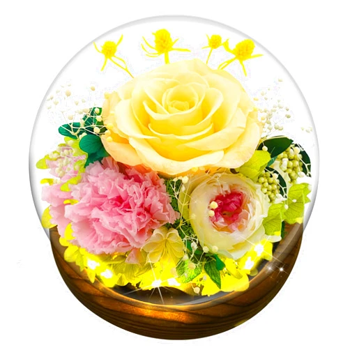 MOKOQI Rose Gifts for Womens Birthday Gifts for Moms Preserved Real Rose in Glass Dome with LED Strip, Preserved Flowers Rose Gifts for Wife Girlfriend Mom on Mothers Day Birthday