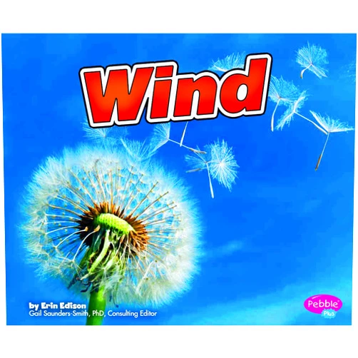 Erin Edison Wind (Weather Basics)