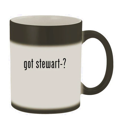 Knick Knack Gifts got stewart-? - 11oz Magic Color Changing Mug, Matte Black