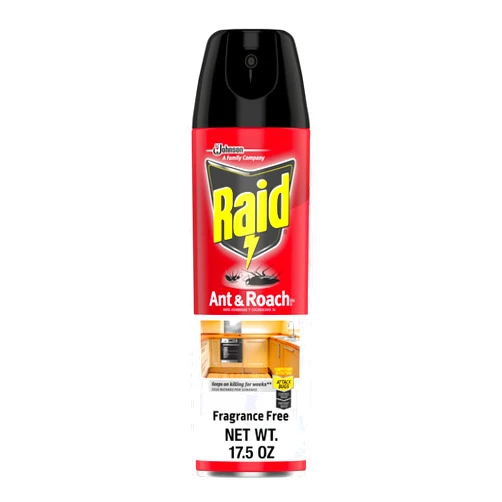 Raid Ant and Roach Killer, Fragrance Free, 17.5 OZ