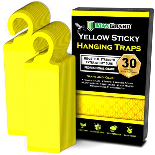 MaxGuard (30 Pack) Yellow Sticky Hanging Traps - Catch and Kill Fungus Gnats, Whiteflies, Mosquitos, Aphids, Leaf Miners, Flying Insect Catcher Glue Trappers for Indoor or Outdoor