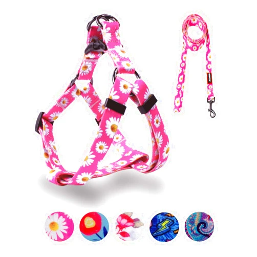QQPETS Dog Harness Leash Set Adjustable Heavy Duty No Pull Halter Harnesses for Small Medium Large Breed Dogs Back Clip Anti-Twist Perfect for Walking (XS(12