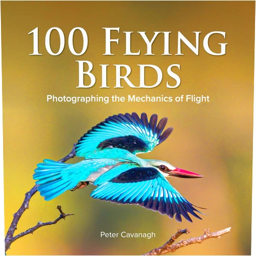 Peter Cavanagh 100 Flying Birds: Photographing the Mechanics of Flight