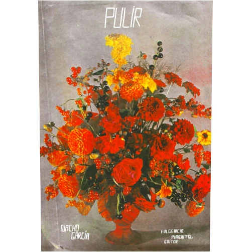 Nacho García Pulir (Dutch Edition)