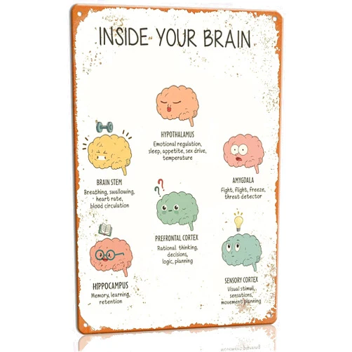 Yanoque Brain Functions Mental Health Poster Art Print Wall Art Modern, Cartoon Hippocampus Themed Metal Sign 12x16inch(30x40cm) Living Room, Bedroom, Office