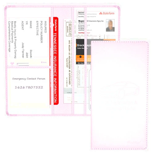 Techion Car Insurance and Registration Holder, 9.5 x 5 Inch PU Leather Vehicle Glove Box Organizer Wallet Case for Insurance Card, Driver License, Paperwork - Pink
