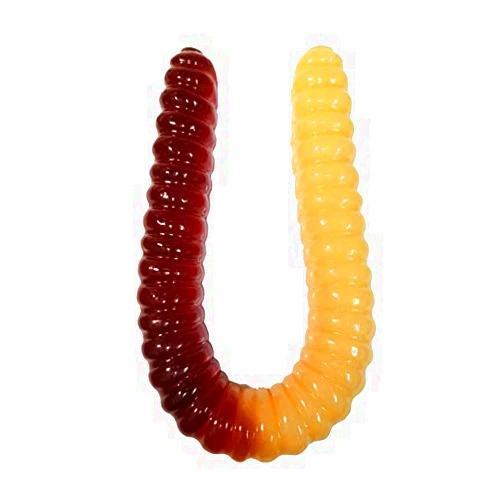 The Gummy Bear Guy (TM) | World's Largest Gummy Worm (TM) - Vanilla/Cola (Vanilla/Cola)
