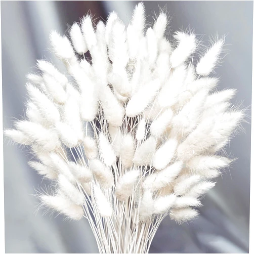 CKBT 120 PCS White Dried Pampas Grass Decor, 17-inch Pompas Floral, Dry Flowers for Decoration, Pampas Grass in Bulk Tall, White Bunny Tails Dried Flowers for Boho Wedding