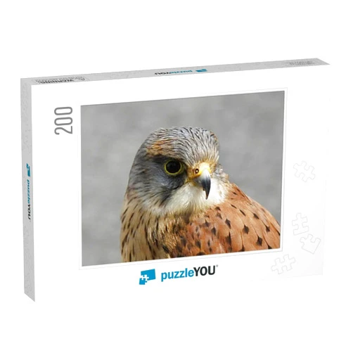 PuzzleYOU Kestrel Falcon at Game Fair Co Antrim Northern Ireland... Jigsaw Puzzle Jigsaw Puzzle with 200 Pieces