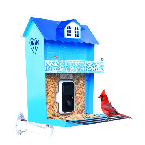 AMOEJOV Smart Bird Feeder with Camera.Auto Capture Bird Videos & Bird Motion Detection,Wireless App Notification,Bird House Camera,Lifetime 32G Free Space.Idea Gift