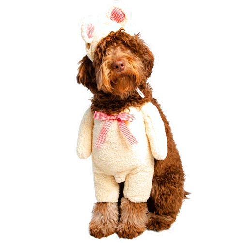 PET KREWE UNLEASH THE PARADE Pet Krewe X-Large Walking Teddy Bear Dog Costume - Fits Small, Medium, Large and Extra Large Pets - Perfect for Halloween, Christmas Holiday, Parties, Photoshoots, Gifts for Dog Lovers