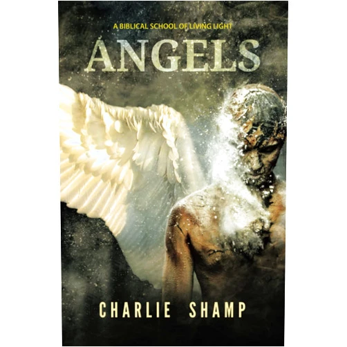 Charlie Shamp Angels: A Biblical School of Living Light