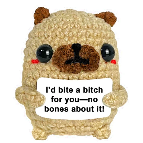 Krinisou Sister Gifts from Sister, Friendship Gifts for Women Best Friend Bestie, Crochet Pug Gifts for Pug Lover, Small Funny Cute Valentines Day Galentines Gifts for Her BFF