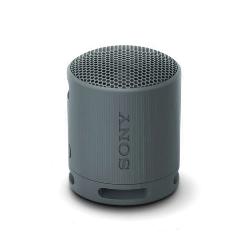 Sony SRS-XB100 Wireless Bluetooth Portable Lightweight Travel Speaker (Black) (Renewed)
