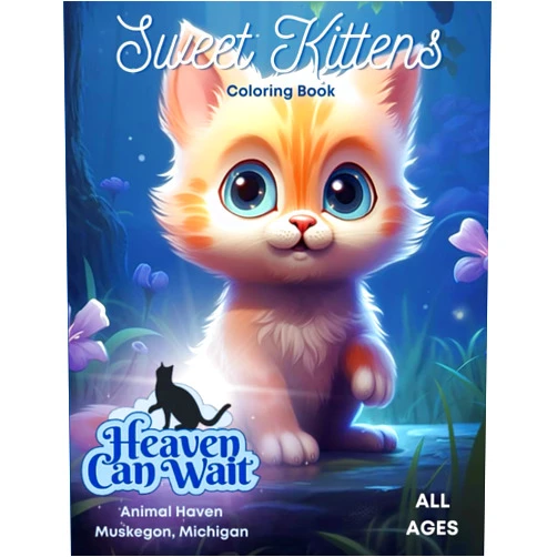 Tara Sullivan Sweet Kittens Coloring Book: Benefitting Heaven Can Wait Animal Haven