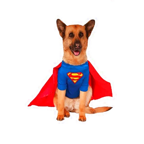 Rubies Rubie's Big Dog Superman Dog Costume
