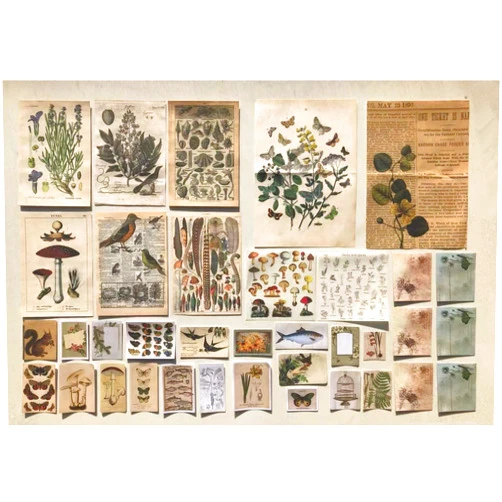 DESEACO Vintage Aesthetic Botany Adhesive Washi Decorative Sticker For Scrap Booking, Antique Plants Floral Butterfly Paper Retro Decals Journaling Supplies Aesthetic for Diary Nature Journal Embellishment (Artsy Crafts Plant Journal Material Pack)