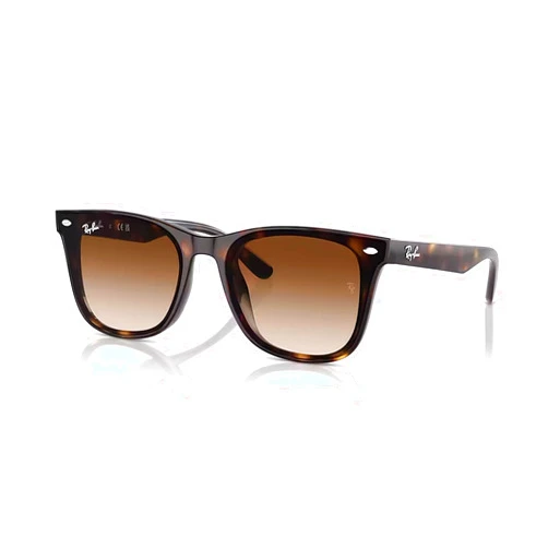 Ray-Ban RB4420 Square Sunglasses for Men for Women + BUNDLE With Designer iWear Complimentary Eyewear Kit