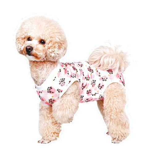 Due Felice Dog Surgical Recovery Suit Pet After Surgery Onesie Cat Bodysuits Cone E-Collar Alternative for Female Male Dog Pink Leopard/Small