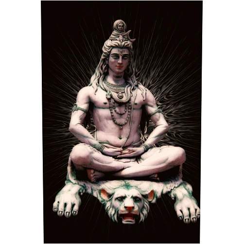 Cool Image The Shiva Journal: 150 page lined notebook/diary