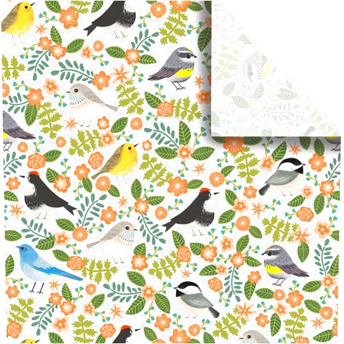 Jillson Roberts Bulk 240 Sheet-Count 20 x 30 Premium Printed Tissue Paper Available in 12 Designs, Birdies