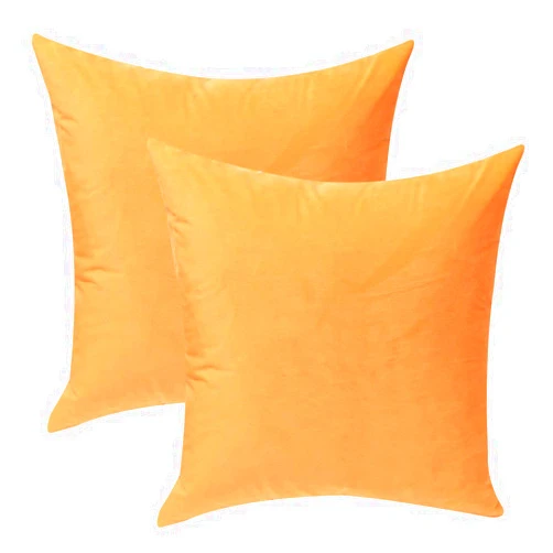 HHYYKV Velvet Soft Decorative Square Throw Pillow Cover Case Set Light Soft Cushion Covers Pillowcase Pack of 2 Décor Pillows for Sofa Bedroom Car 18