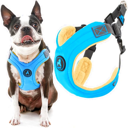 Gooby Escape Free Memory Foam Harness - Blue, Medium - No Pull Step-in Small Dog Harness with Four Point Adjustment - Perfect on The Go Dog Harness for Medium Dogs No Pull and Small Dogs