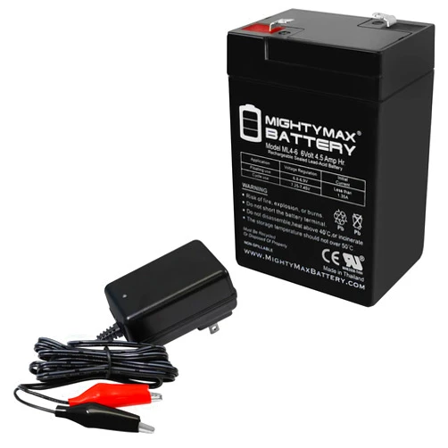 Mighty Max Battery 6V 4.5AH Battery Replaces Alaris Medical 821 Intell Pump + 6V Charger