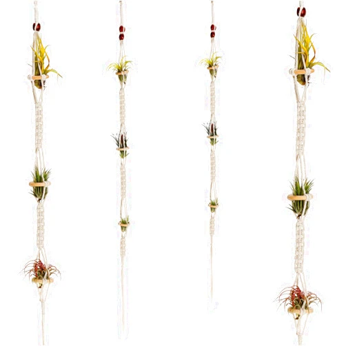 Shappy 4 Pieces Air Plants Holders Hanger Air Plant Wall Hanger Handmade Rope Hanging Plant Holder Woven with 4 Hooks for Home Decoration