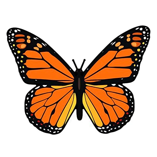 American Vinyl Monarch Butterfly Shaped Sticker (Beautiful Love Butterflies Girls Fun Nature Vinyl Decal for car, Laptop, Water Bottle, or Scrapbook (3 x 4 inch)