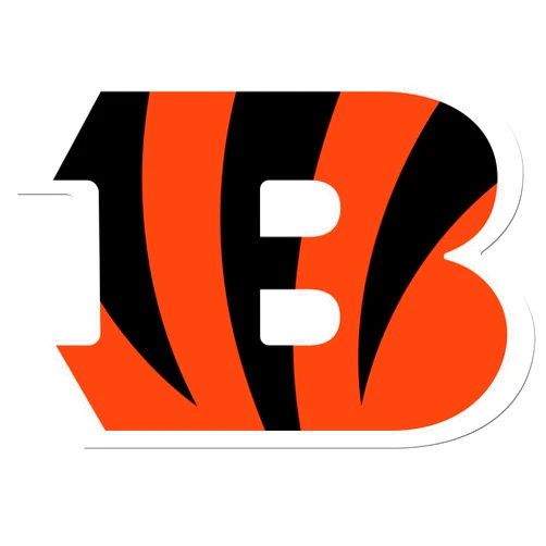 Siskiyou Sports NFL Fan Shop Cincinnati Bengals Auto Decal sheet Team Color, 8.00