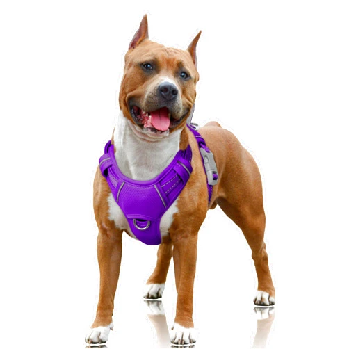 BARKBAY No Pull Dog Harness Large Reflective Dog Harness with Front Clip and Easy Control Handle for Walking Training Running with ID tag Pocket(Purple,L)