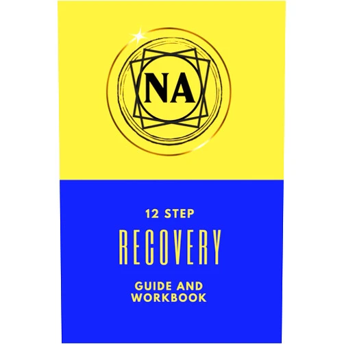 Book Designs NA 12 Step Recovery Guide And Workbook: Narcotics Anonymous/Recovery Tool For Rehab or Independent Use/NA Journal/Drug And Addiction Workbook