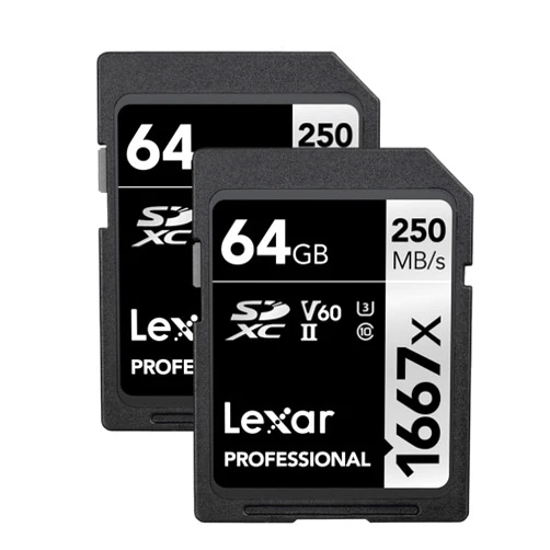 Lexar 64GB (2-Pack) Professional 1667x SDXC Memory Cards, UHS-II, C10, U3, V60, Full-HD & 4K Video, Up To 250MB/s Read, for Professional Photographer, Videographer, Enthusiast (LSD64GCBNA16672)