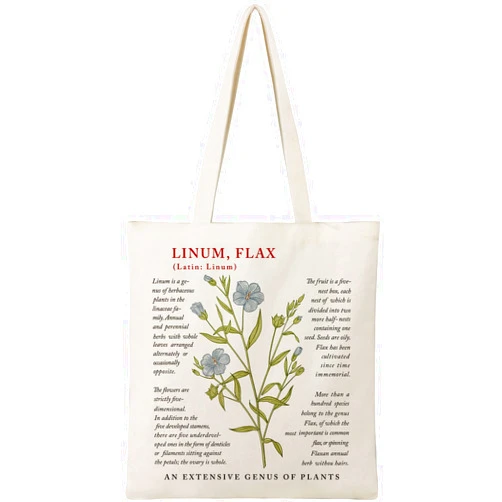 BeeGreen Aesthetic Canvas Tote Bag for Women with 2 Inner Pockets
