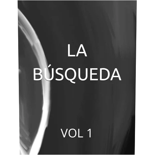 Jose Armando Cuesta Buitrago,Eliel Yosef Palmas Figueroa,Yair Steven Restrepo Díaz LA BÚSQUEDA: VOL 1 (Spanish Edition)
