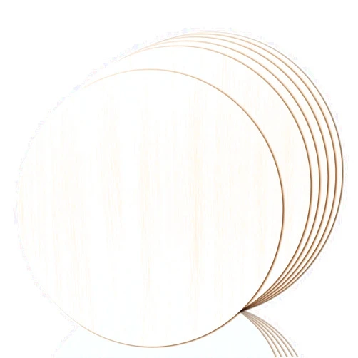 JOICEE 6PACK Wood Circles for Crafts，14 Inch Unfinished wood rounds Discs for Door Hanger Sign Blank, DIY Wooden Discs for Crafts Painting and Christmas Halloween Decoration