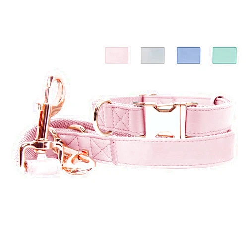 Runwing Soft Leather Dog Collar and Leash (6.6') Set - Stylish Rose Gold Heavy Duty Metal Buckle, 4 Adjustable Lengths Leash for Small Medium Large Dogs - Comfortable & Easy to Clean Pink XS(8