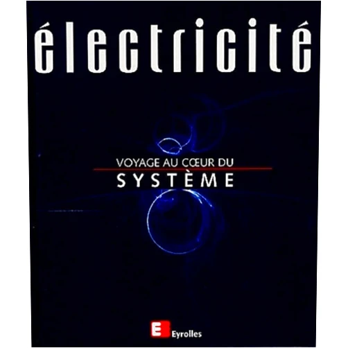 Patrick Bastard,Daniel Fargue,Philippe Laurier,Bernard Mathieu,Muriel Nicolas,Philippe Roos Électricité, voyage au coeur du système
