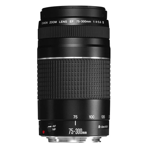Canon EF 75-300mm f/4-5.6 III Telephoto Zoom Lens for Canon SLR Cameras