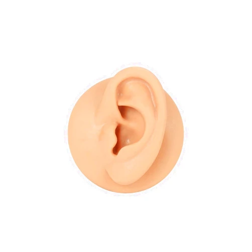 Liifun Soft Silicone Body Parts Model Displays Set, Tongue Mouth Lips and Nose Eye Ear Navel Model for Piercing Practice, Jewelry Display Teaching Tool, Suturing Practice (Leftear-Nude)