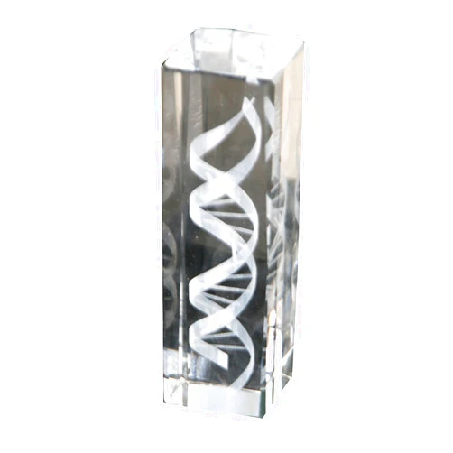 Anatomology DNA Helix Crystal Statue (6 Inches in Height)
