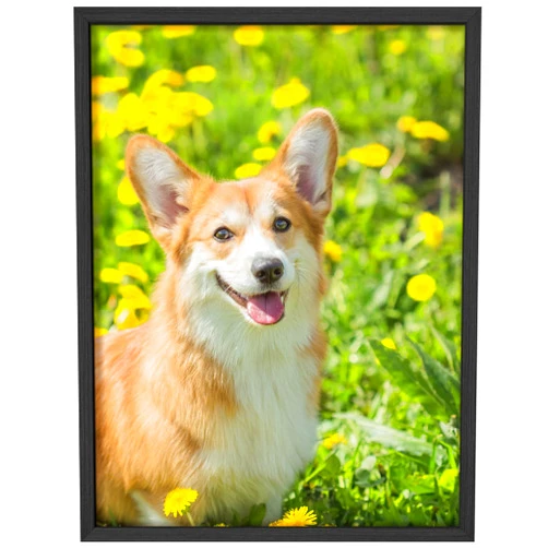 NWT Custom Framed Poster Prints with Your Any Photos, Personalized Canvas Pictures for Wall to Print Framed - 12