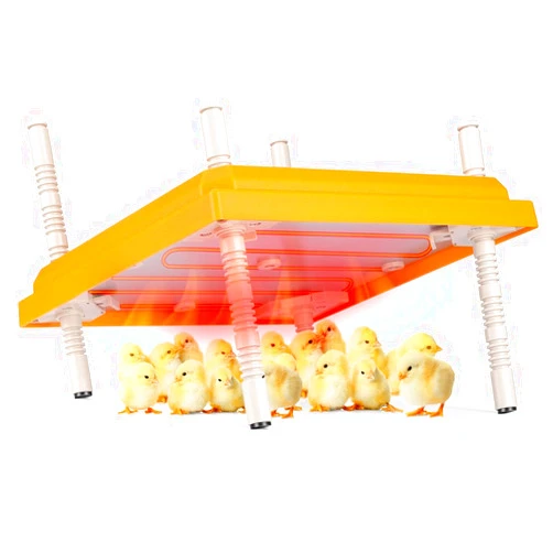 COSYOO Brooder Heater for Chicks, 10