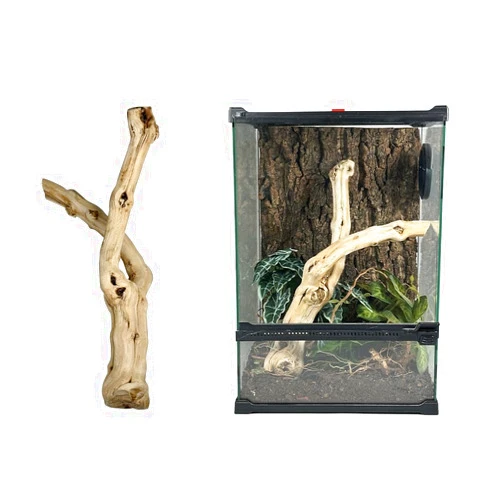 AWXZOM large Reptile branch, 15-17inch length, Carefully selected and polished for reptile climbing branch, grapevine wood for snake Bearded Dragon Gecko Frog Chameleon