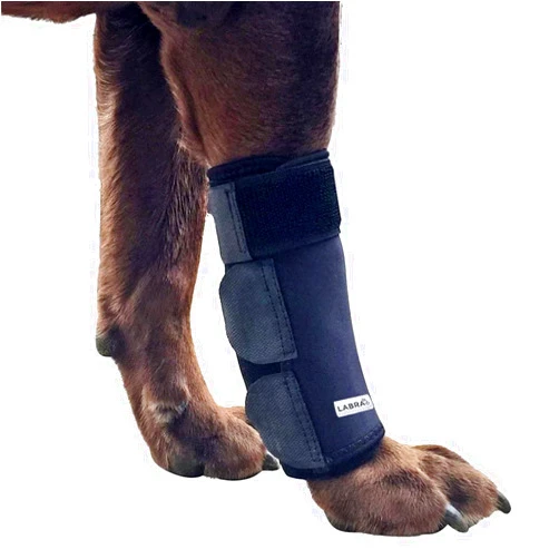Labra Dog Front Leg Brace - Compression Wrap with Adjustable Straps - Dog Wrist Brace for Support - Leg Sleeve to Stop Licking - Aid in Wound Care and Recovery - Small/Medium